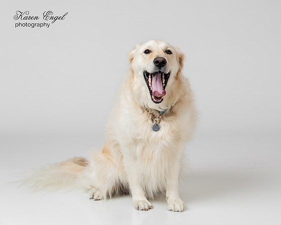 © Karen Engel Photography
