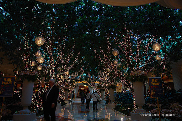 © Karen Engel Photography - California | Florida - 661-477-2451